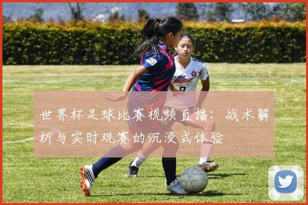 世界杯足球比赛视频直播:战术解析与实时观赛的沉浸式体验