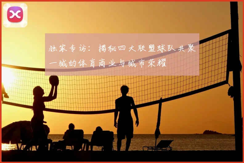 独家专访:揭秘四大联盟球队共聚一城的体育商业与城市荣耀