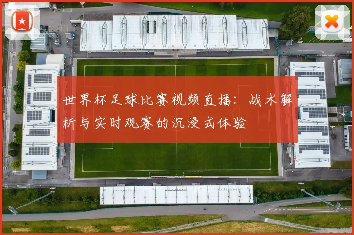 世界杯足球比赛视频直播:战术解析与实时观赛的沉浸式体验