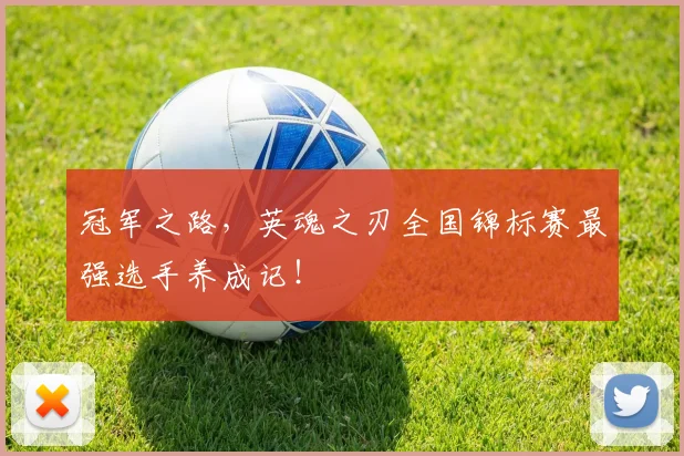 冠军之路,英魂之刃全国锦标赛最强选手养成记!